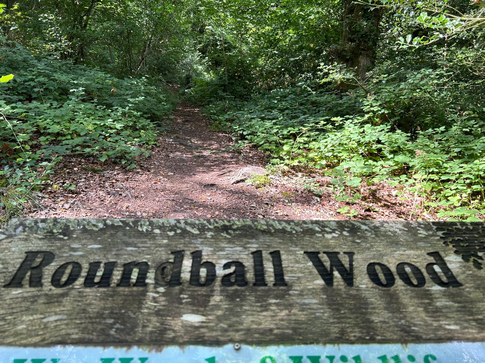 Roundball Wood is Open
