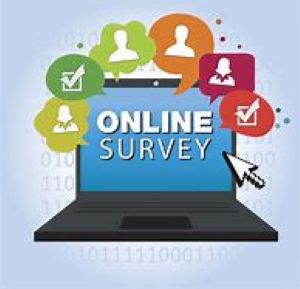 Honiton Town Council Online Survey