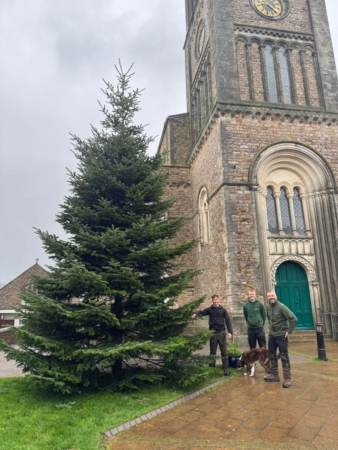 The Christmas Tree has arrived